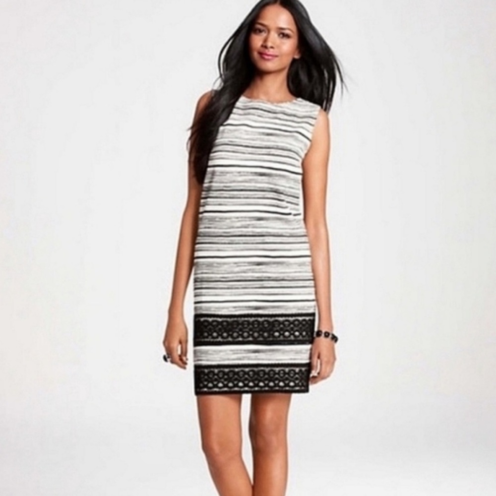 Ann Taylor White Black Stripe Lace Rayon Nylon Sleeveless Classic Shift Dress 2